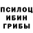 Псилоцибиновые грибы MAGIC MUSHROOMS long dong12