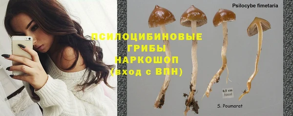 бутират Арсеньев