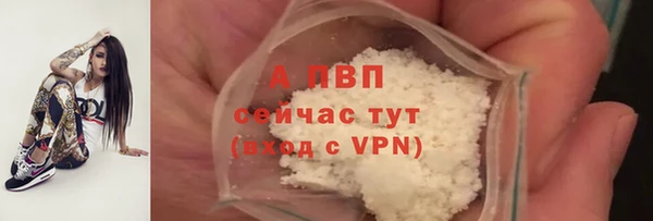 a pvp Лиски