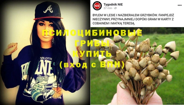 бутират Арсеньев