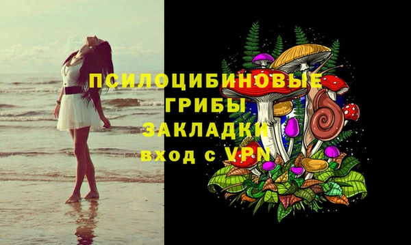 крисы Лабытнанги