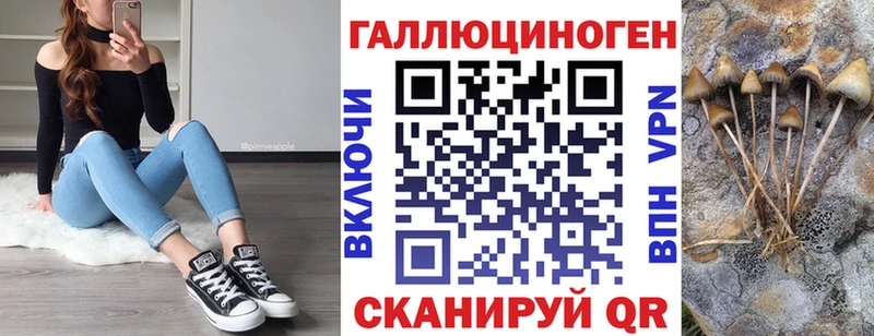 Купить закладки  Белый  Псилоцибиновые грибы Psilocybe 